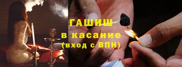гашик Вяземский