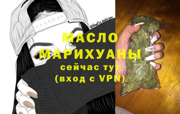 гашик Вяземский