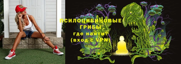 крисы Горно-Алтайск