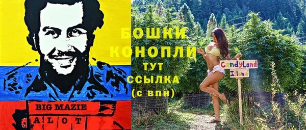 крисы Анжеро-Судженск