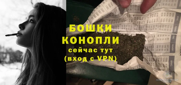 крисы Анжеро-Судженск