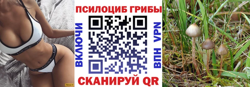 Галлюциногенные грибы мицелий  Горбатов 